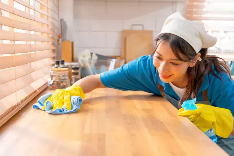 gaziemir temizlik firması