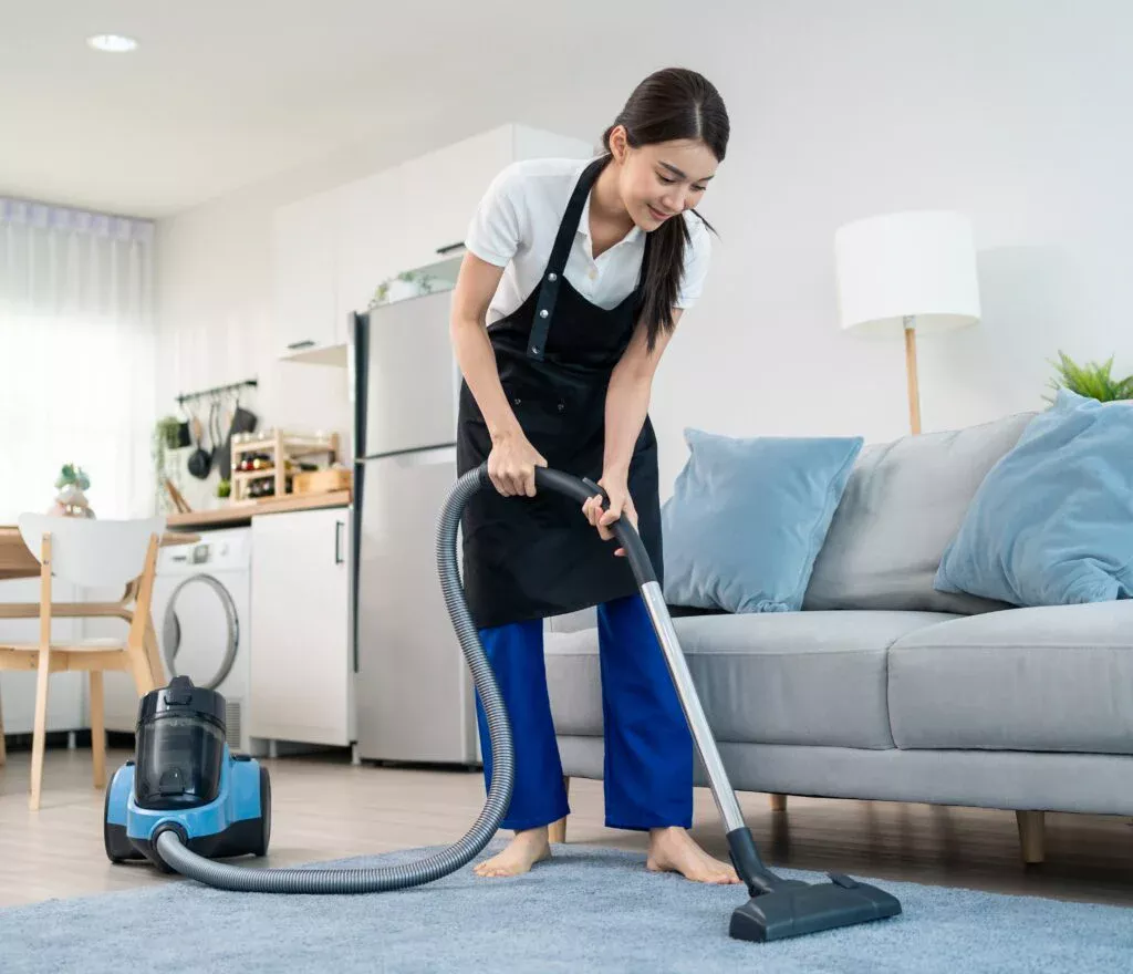 seferihisar ev temizliği şirketi