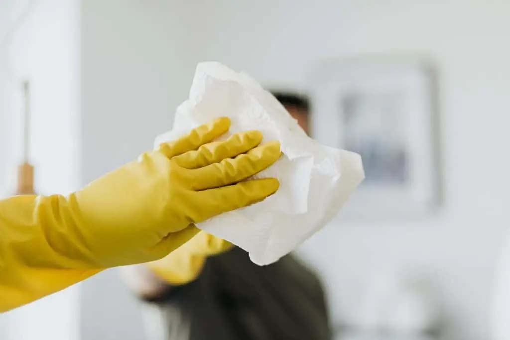 izmir temizlik sirketleri detayli ev temizligi